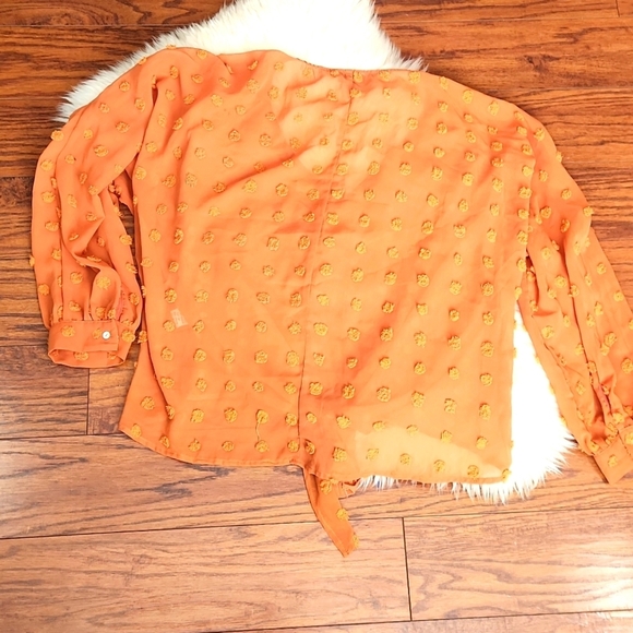 Zenobia Sheer Polka Dot Blouse - Picture 4 of 4